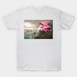 Roseate Spoonbill Robert Havell after John James Audubon 1827 Art Print T-Shirt